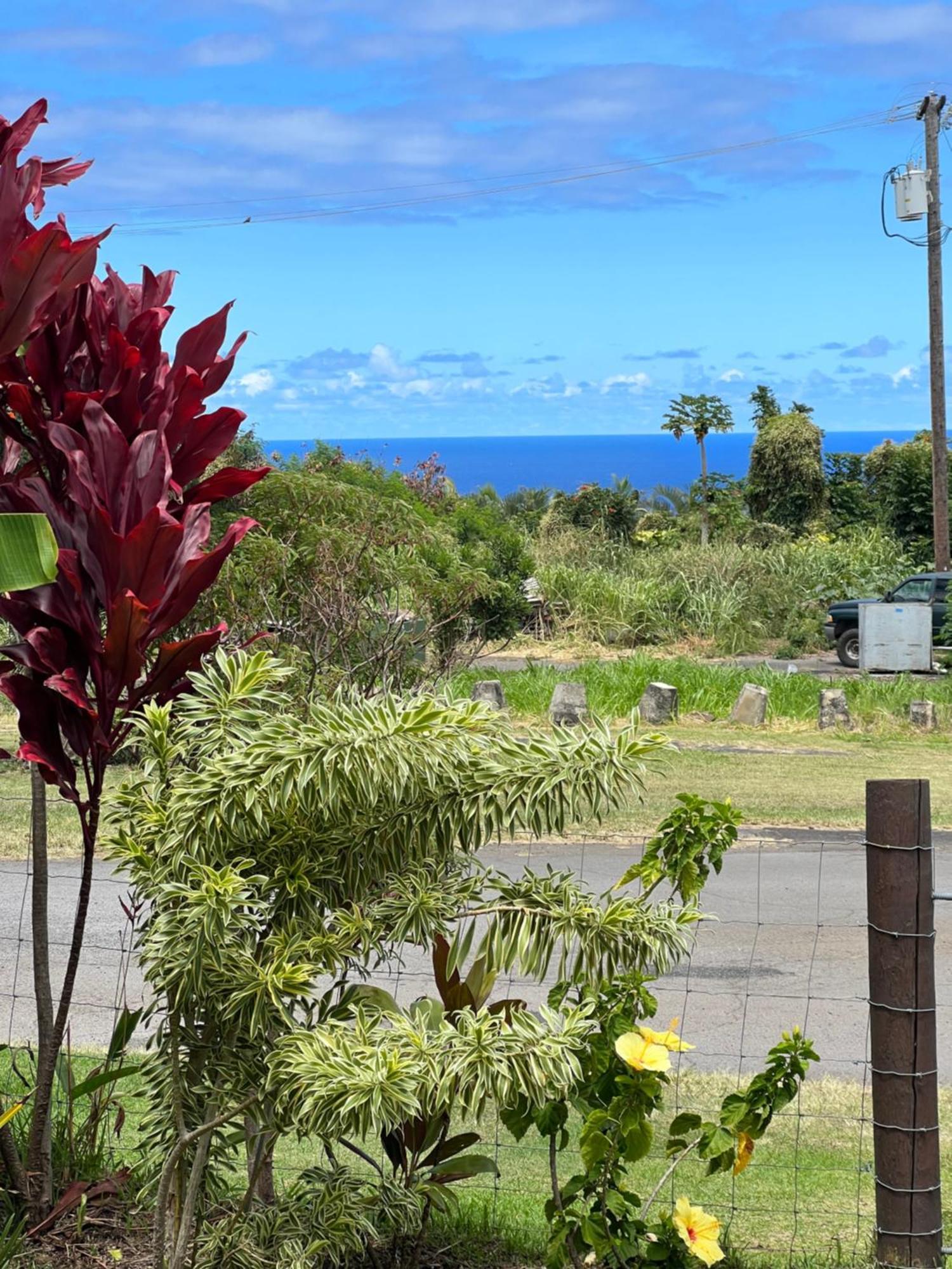 Private Ohana On The Lush Hamakua Coast With Ac Honokaa Exteriör bild