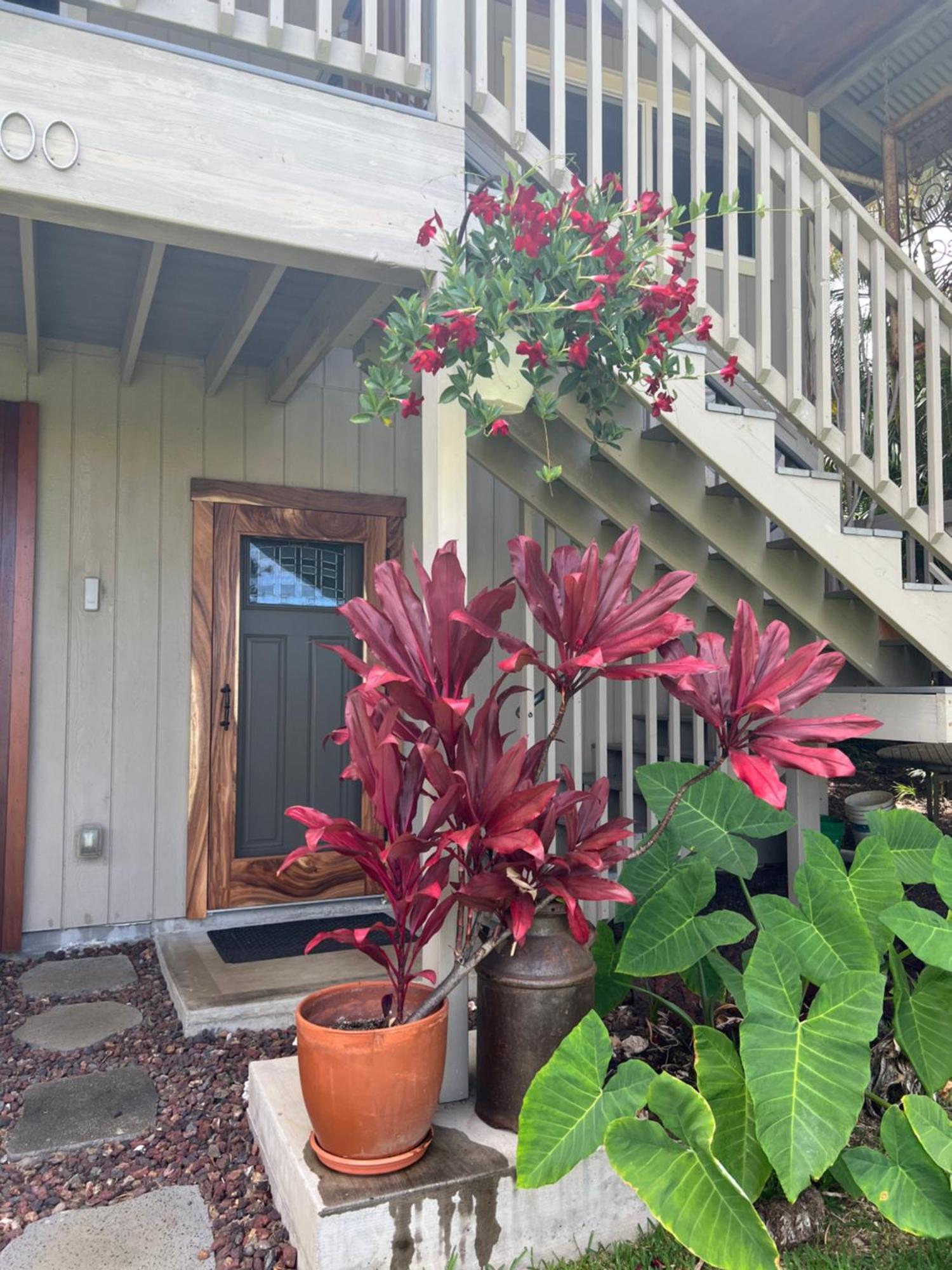 Private Ohana On The Lush Hamakua Coast With Ac Honokaa Exteriör bild