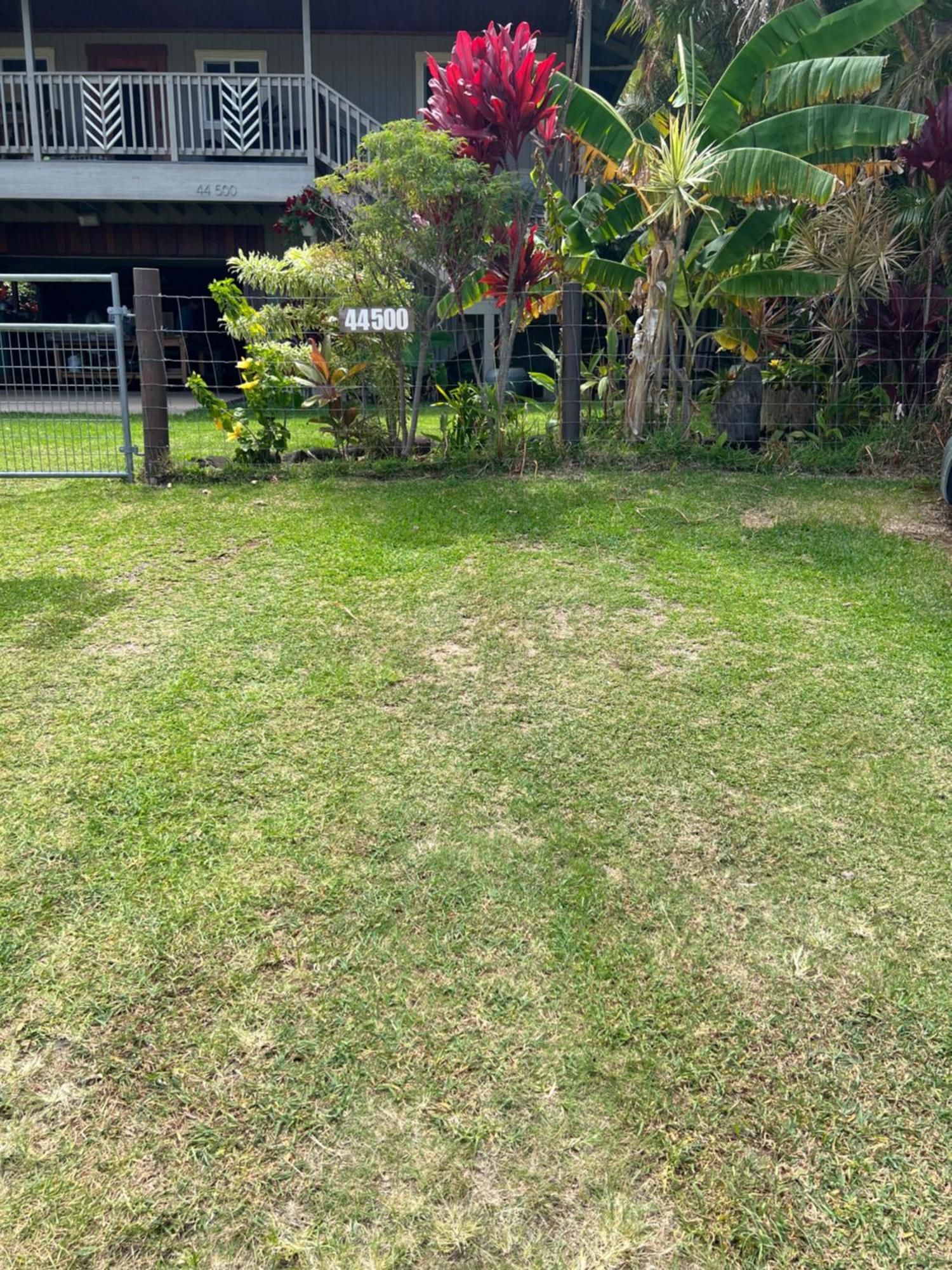 Private Ohana On The Lush Hamakua Coast With Ac Honokaa Exteriör bild