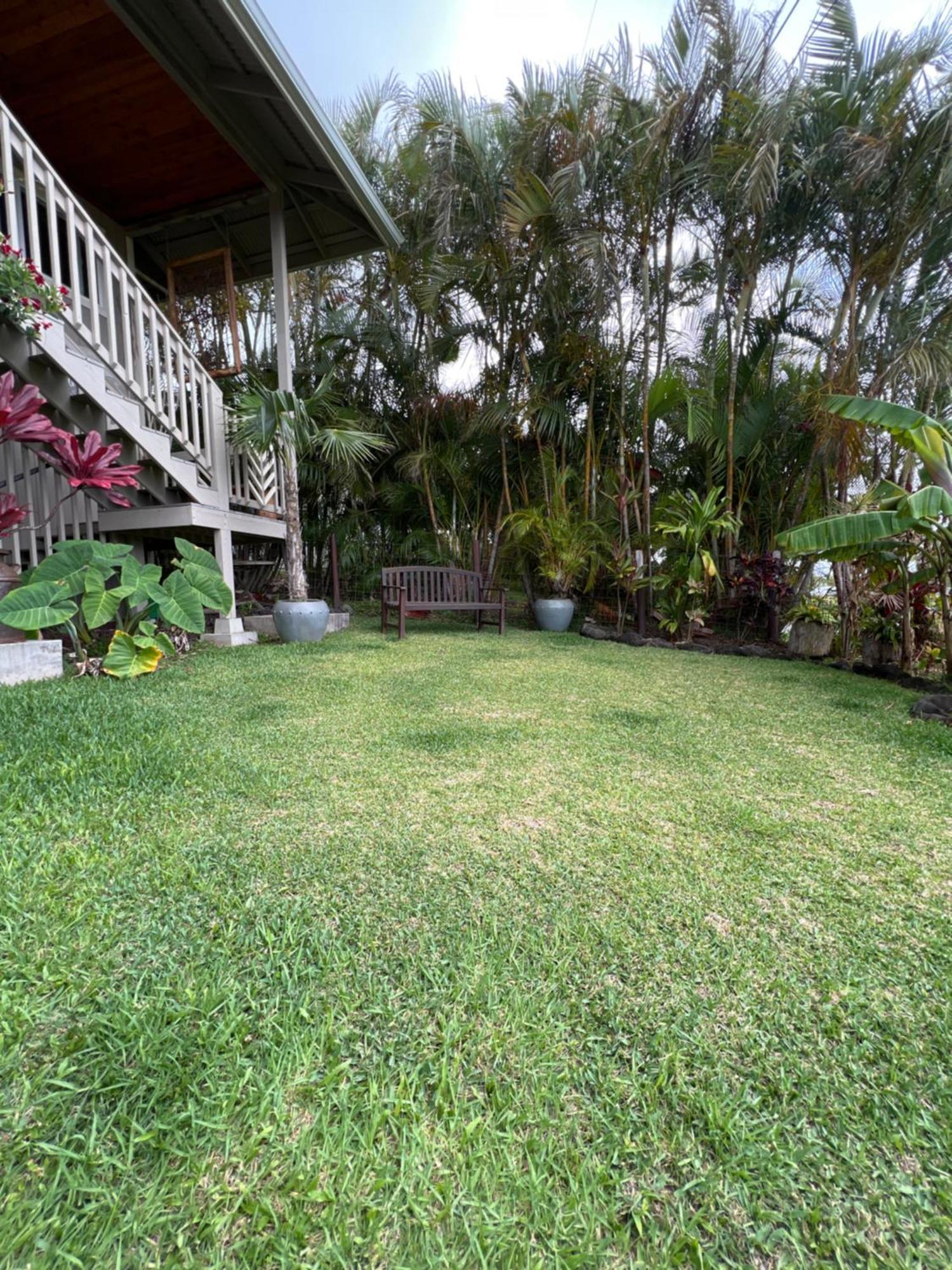 Private Ohana On The Lush Hamakua Coast With Ac Honokaa Exteriör bild
